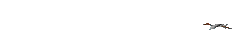 鸟在飞翔
